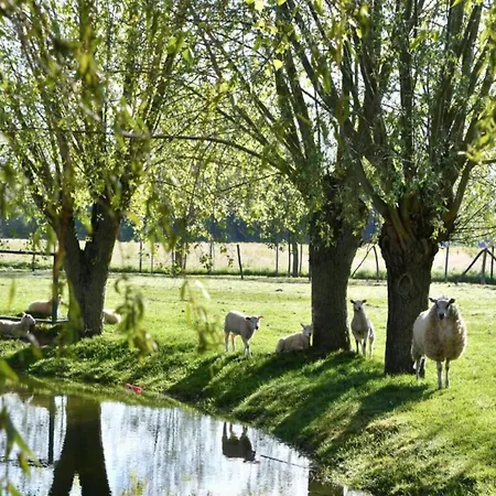 In With Sea Views Nieuwpoort