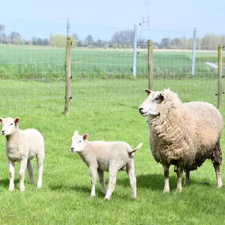 In With Sea Views Appartamento Nieuwpoort